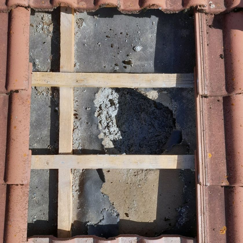 villiger-marderschutz-gmbh-auw-marderschaden_IMG-20220926-WA0001