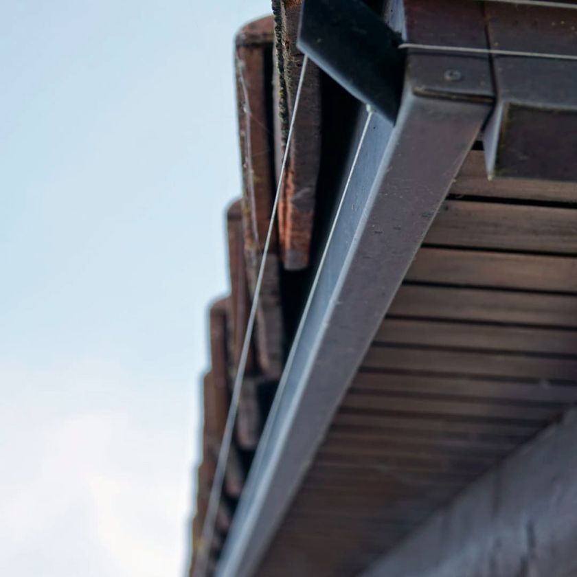 villiger-marderschutz-gmbh-auw-system_IMG-20220828-WA0061